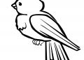 Little Bird Coloring Page