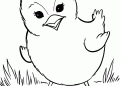 Little Bird Coloring Page Images