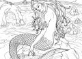 Mermaid Coloring Pages for Adult Free Image