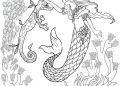 Mermaid Coloring Pages for Adult Image