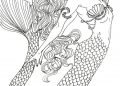 Mermaid Coloring Pages for Adult Pictures