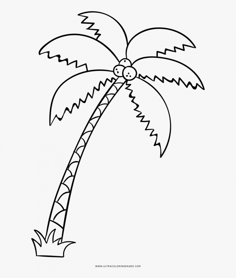 Palm Trees Coloring Pages For Kids - Visual Arts Ideas