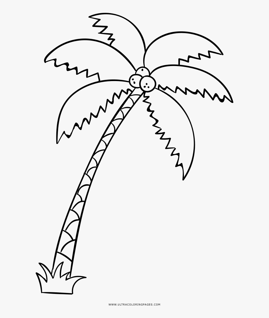 Palm Trees Coloring Pages Images 