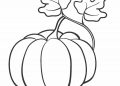 Pumpkin Coloring Pages with Leafes