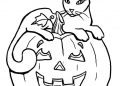 Pumpkin Coloring Pages with The Cat