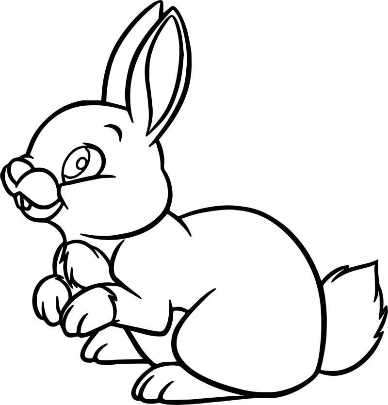 Rabbit Coloring Page For Kids - Visual Arts Ideas