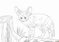 Realistic Fox Coloring Page