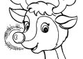Rudolph Coloring Pages Cute Nose