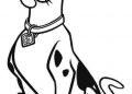 Scoob! 2020 Coloring Pages Free Pictures