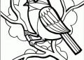 Small Bird Coloring Page