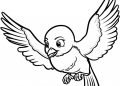 Small Bird Coloring Page Flying