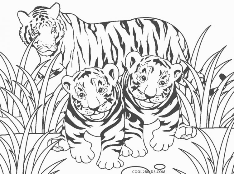 Tiger Coloring Pages For Kids - Visual Arts Ideas