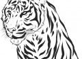 Tiger Coloring Pages Free Pictures