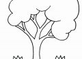 Tree Coloring Page Free Image