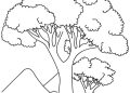 Tree Coloring Page Images