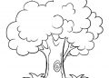 Tree Coloring Page Pictures