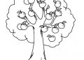 Tree Coloring Page with Fruits