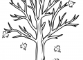 Tree Coloring Page with No Leaf