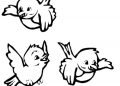 Triple Bird Coloring Page