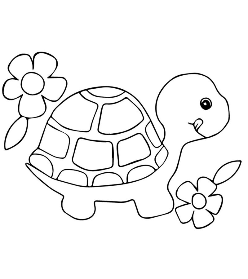 Turtle Coloring Pages For Kids - Visual Arts Ideas