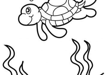 turtle coloring pages for kids visual arts ideas