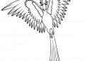 Unique Bird Coloring Page Images