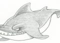 Angry Shark Drawings Ideas