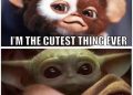 Baby Yoda Meme of Cutest Thing Ever