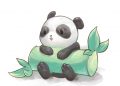 Cute Drawing of Panda