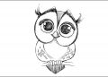 Cute Owl for Drawing