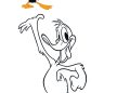 Daffy Duck Coloring Pages For Children