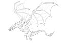 Drawing A Dragon Flying