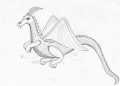 Drawing A Dragon For Beginner