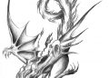 Drawing A Dragon Pictures