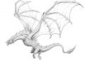 Drawing A Dragon with Wings