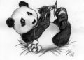 Drawing of Baby Panda
