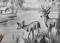 Drawing of Deer in Nature