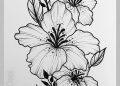 Drawing of Flowers Images