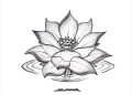 Drawing of Flowers Lotus