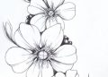 Drawing of Flowers Picture