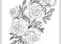 Drawing of Flowers Rose