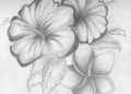 Drawing of Flowers with Pencil of Shaded Flower