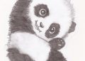 Drawing of Little Panda
