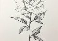 Drawing of Rose Pictures
