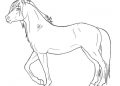 Easy Horse Drawing