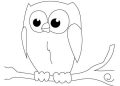 Easy Owl for Drawing