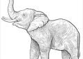 Elephant Drawing Image