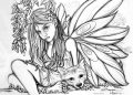 Fairy Coloring Pages for Adults Free Image