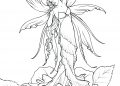 Free Fairy Coloring Pages for Adults