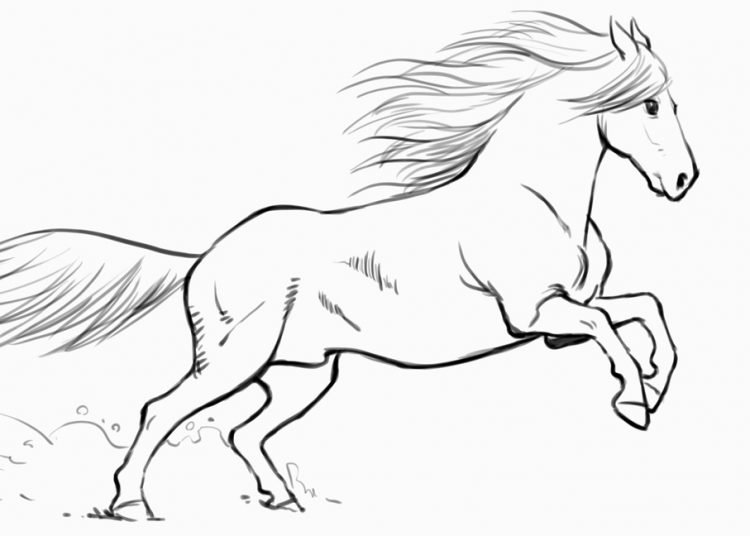 15 Horse Drawing Ideas - Visual Arts Ideas